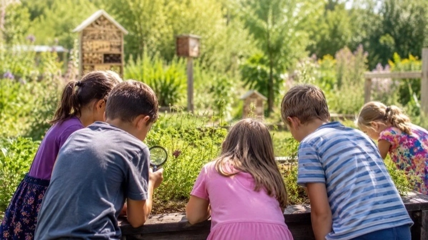 Kinder untersuchen Pflanzen in einem naturnahen Gartenbereich beim Umweltbildungsprogramm im Ökogarten Quedlinburg.