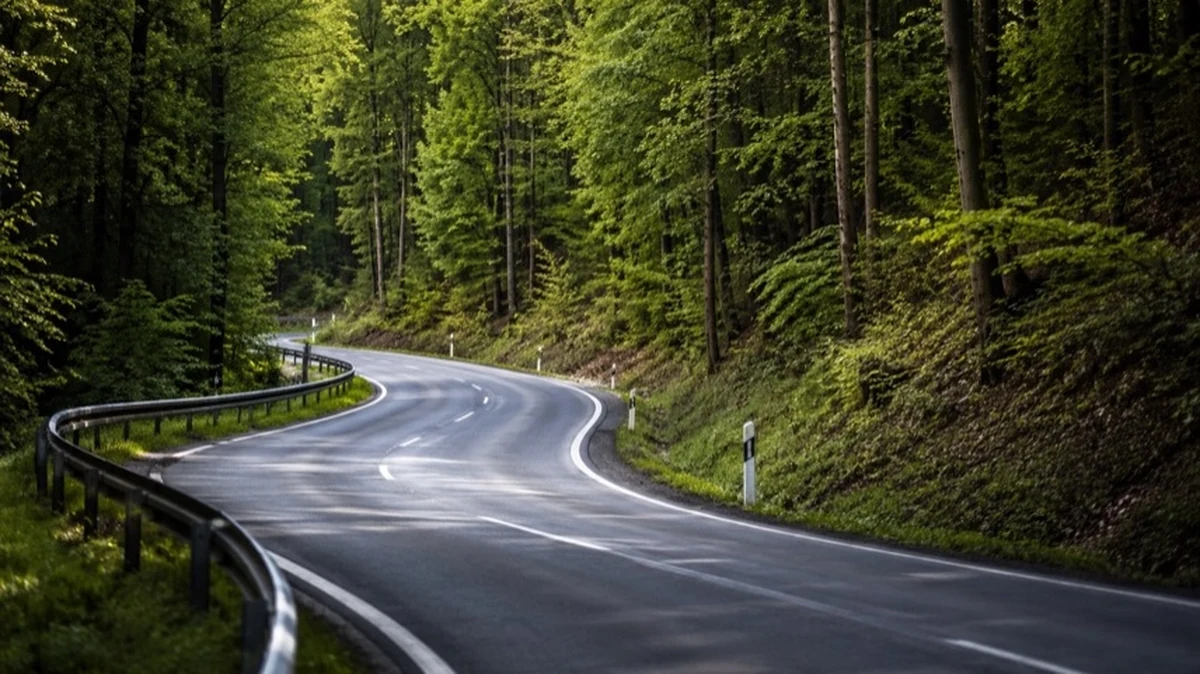 Kurvenreiche Landstraße am Waldrand mit Verkehrswarnschild in einer bewaldeten Region des Südharzes
